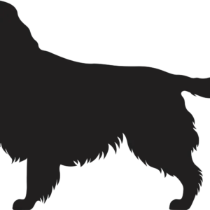 Vsepropejska Anglický špringeršpaněl dřevěná dekorace na zeď Rozměr (cm): 25 x 38