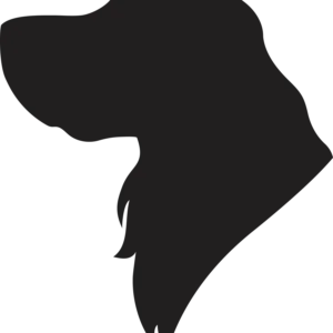 Vsepropejska Anglický špringeršpaněl dřevěná dekorace na zeď Rozměr (cm): 38 x 33