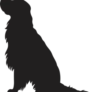 Vsepropejska Anglický špringeršpaněl dřevěná dekorace na zeď Rozměr (cm): 38 x 36