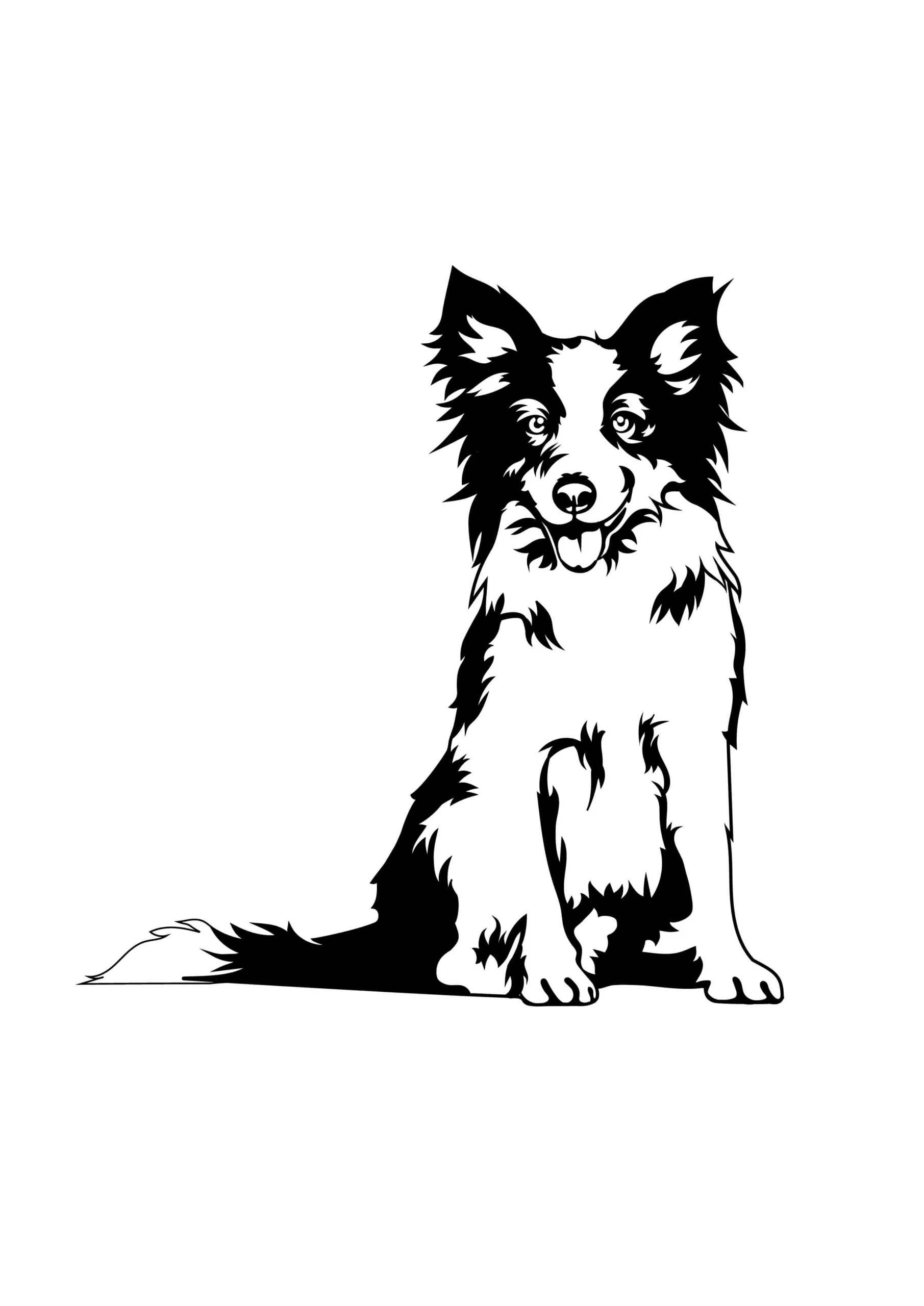 Border kolie 5 dřevěná dekorace na zeď Rozměr (cm): 38 x 36 - Obrázek 2