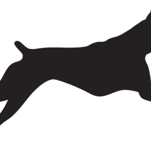 Vsepropejska Boxer 2 dřevěná dekorace na zeď Rozměr (cm): 21 x 38