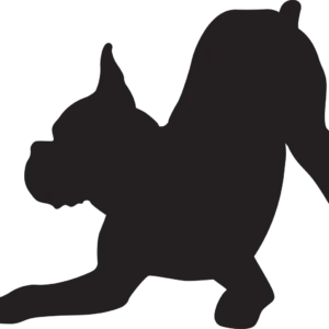 Vsepropejska Boxer 2 dřevěná dekorace na zeď Rozměr (cm): 26 x 38