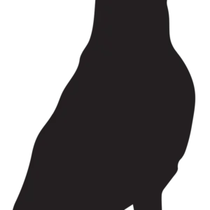 Vsepropejska Boxer 2 dřevěná dekorace na zeď Rozměr (cm): 38 x 19