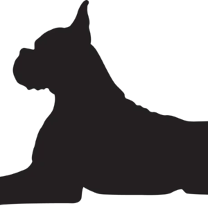 Vsepropejska Boxer 2 dřevěná dekorace na zeď Rozměr (cm): 38 x 33