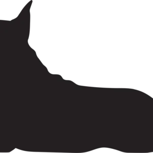 Vsepropejska Bulteriér 5 dřevěná dekorace na zeď Rozměr (cm): 38 x 19