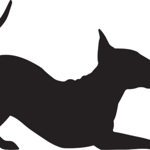 Vsepropejska Bulteriér 5 dřevěná dekorace na zeď Rozměr (cm): 28 x 38