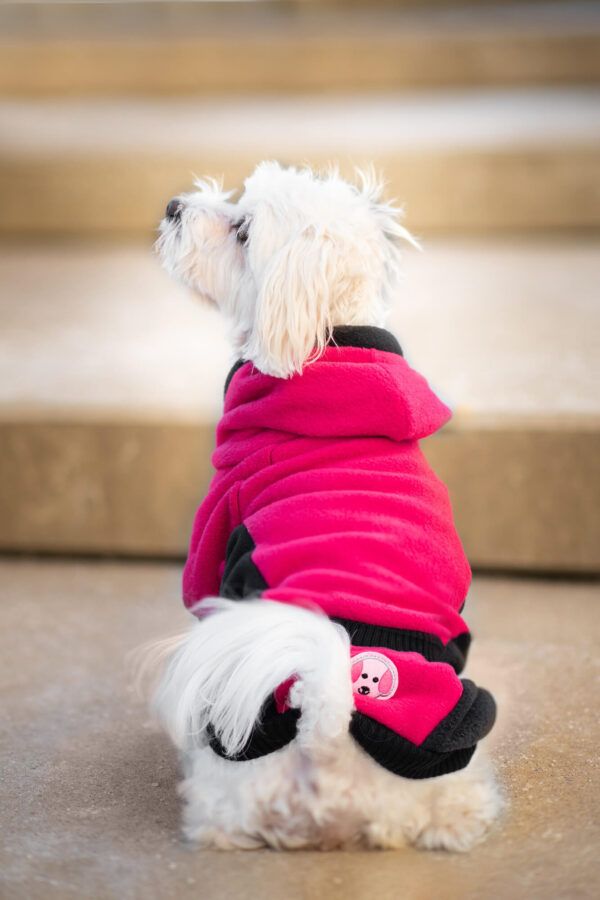 Vsepropejska Cool fleecová mikina pro psa s kapsičkou Barva: Růžovo-černá