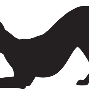 Vsepropejska Dobrman 3 dřevěná dekorace na zeď Rozměr (cm): 22 x 38