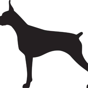 Vsepropejska Dobrman 3 dřevěná dekorace na zeď Rozměr (cm): 33 x 38