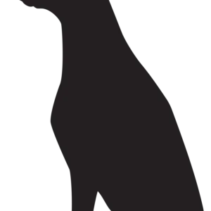 Vsepropejska Dobrman 3 dřevěná dekorace na zeď Rozměr (cm): 25 x 38