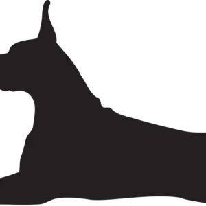 Vsepropejska Dobrman 3 dřevěná dekorace na zeď Rozměr (cm): 38 x 21