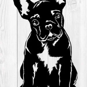 Vsepropejska Francouzský buldoček 7 dřevěná dekorace na zeď Rozměr (cm): 38 x 21