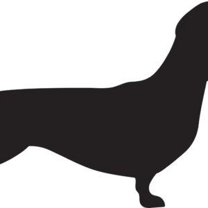 Vsepropejska Jezevčík 6 dřevěná dekorace na zeď Rozměr (cm): 25 x 38