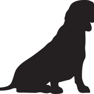 Vsepropejska Jezevčík 6 dřevěná dekorace na zeď Rozměr (cm): 27 x 38