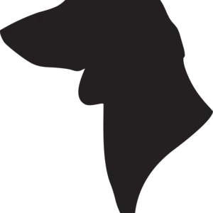 Vsepropejska Jezevčík 6 dřevěná dekorace na zeď Rozměr (cm): 38 x 32