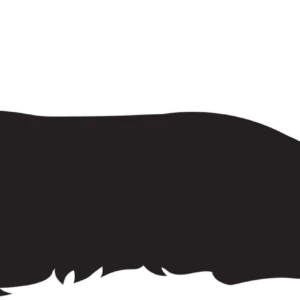 Vsepropejska Jezevčík 7 dřevěná dekorace na zeď Rozměr (cm): 14 x 38