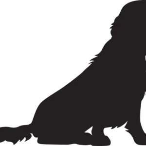 Vsepropejska Jezevčík 7 dřevěná dekorace na zeď Rozměr (cm): 18 x 38