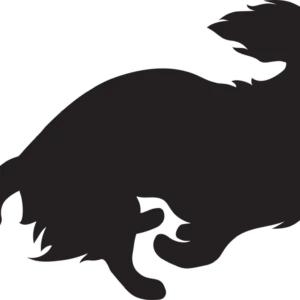 Vsepropejska Jezevčík 7 dřevěná dekorace na zeď Rozměr (cm): 19 x 38