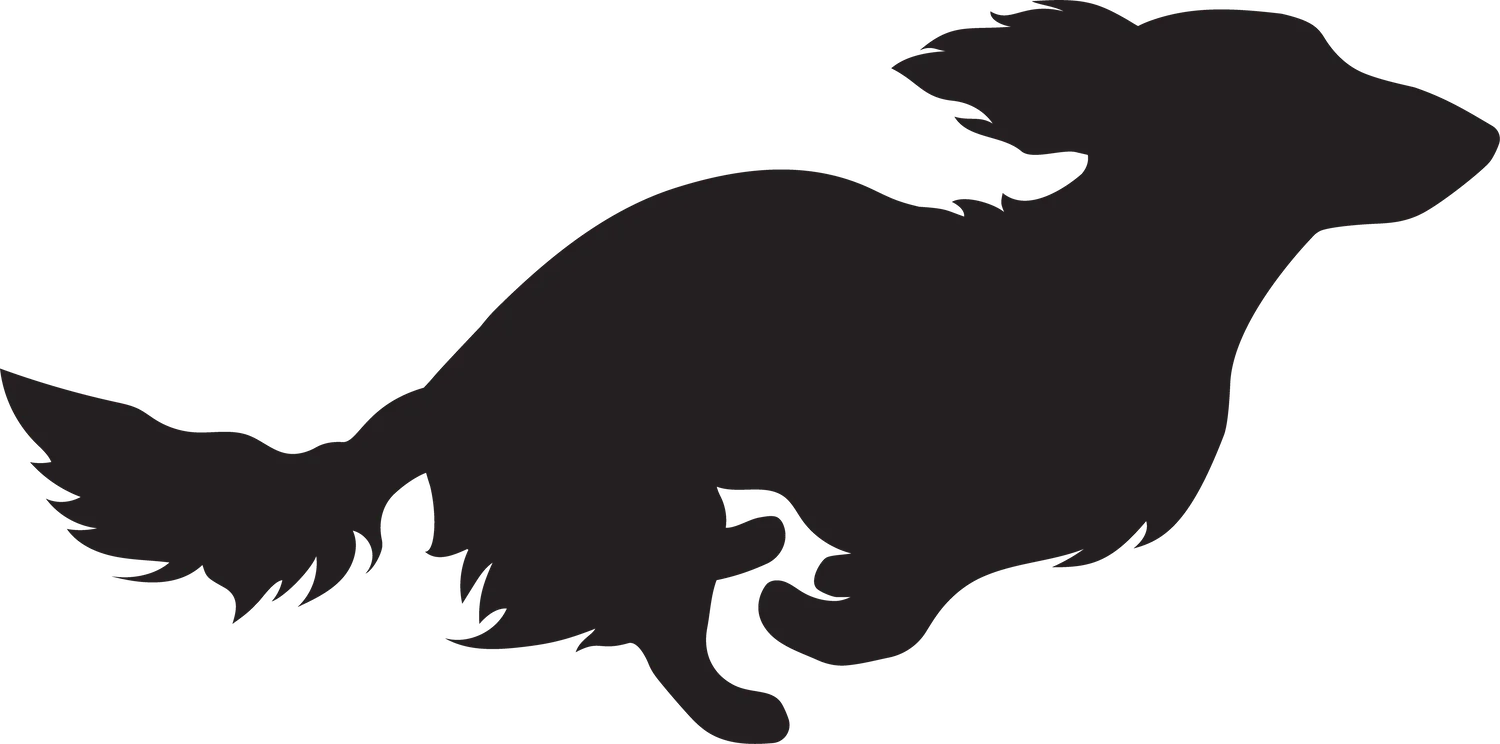 Vsepropejska Jezevčík 7 dřevěná dekorace na zeď Rozměr (cm): 19 x 38