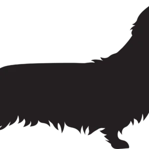 Vsepropejska Jezevčík 7 dřevěná dekorace na zeď Rozměr (cm): 23 x 38