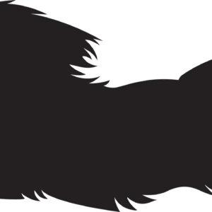 Vsepropejska Jorkšírský teriér 10 dřevěná dekorace na zeď Rozměr (cm): 18 x 38