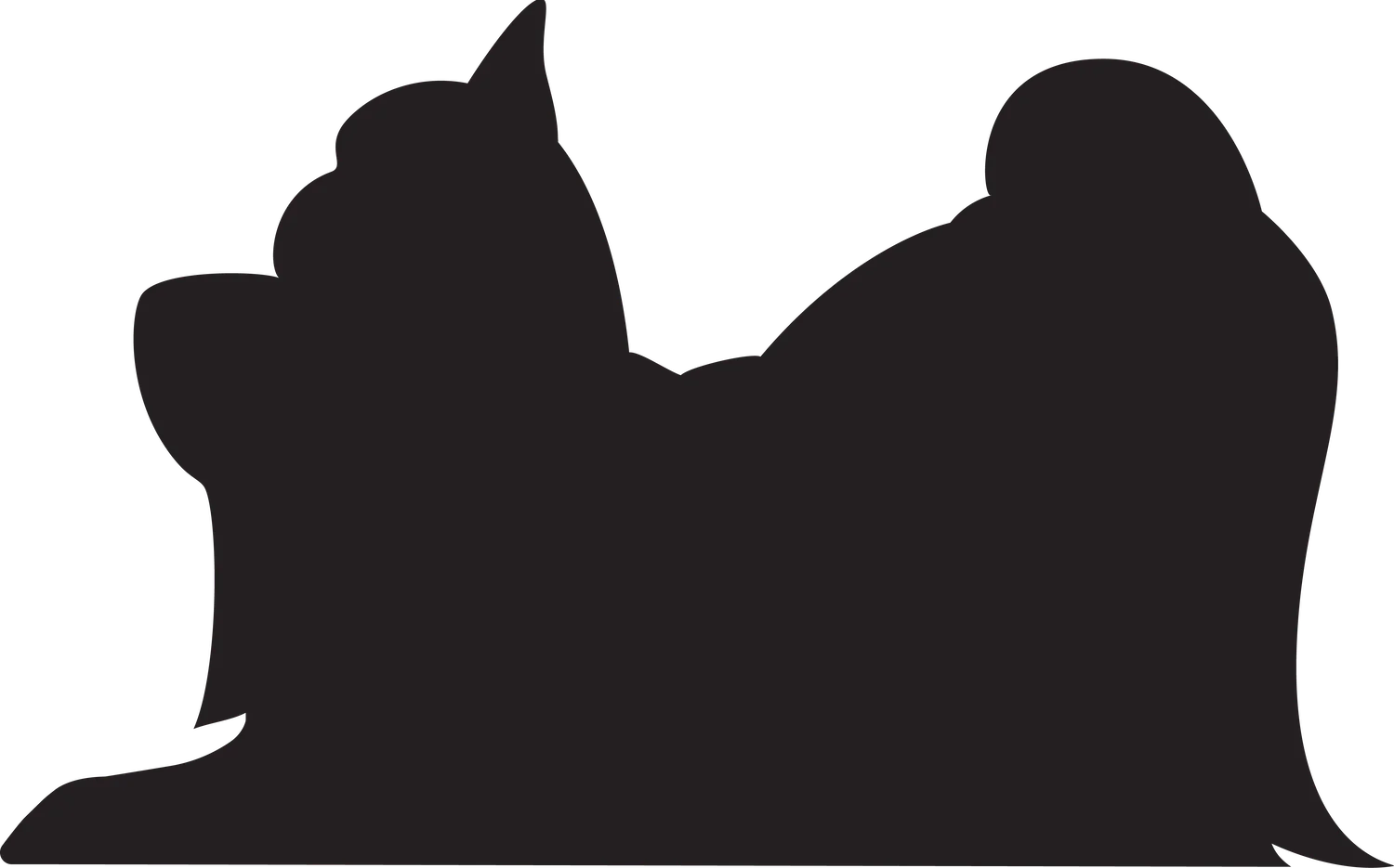 Vsepropejska Jorkšírský teriér 10 dřevěná dekorace na zeď Rozměr (cm): 24 x 38