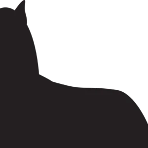 Vsepropejska Jorkšírský teriér 10 dřevěná dekorace na zeď Rozměr (cm): 21 x 38