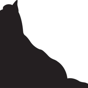 Vsepropejska Jorkšírský teriér 10 dřevěná dekorace na zeď Rozměr (cm): 30 x 38