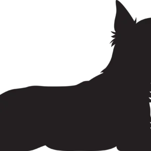 Vsepropejska Jorkšírský teriér 9 dřevěná dekorace na zeď Rozměr (cm): 20 x 38