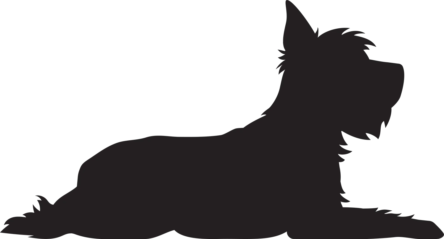 Vsepropejska Jorkšírský teriér 9 dřevěná dekorace na zeď Rozměr (cm): 20 x 38