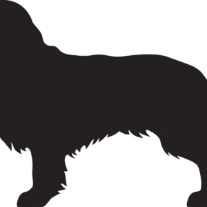 Vsepropejska Kavalír king 2 dřevěná dekorace na zeď Rozměr (cm): 29 x 38