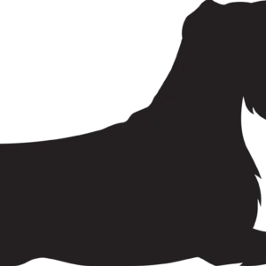 Vsepropejska Knírač 2 dřevěná dekorace na zeď Rozměr (cm): 19 x 38