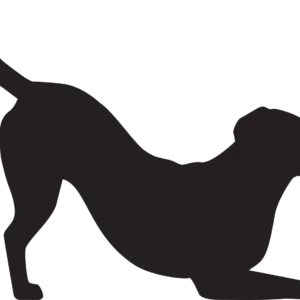 Vsepropejska Labrador 3 dřevěná dekorace na zeď Rozměr (cm): 28 x 38