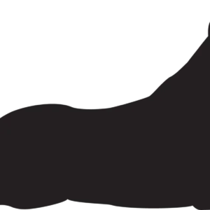 Vsepropejska Labrador 3 dřevěná dekorace na zeď Rozměr (cm): 19 x 38