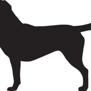 Vsepropejska Labrador 3 dřevěná dekorace na zeď Rozměr (cm): 26 x 38