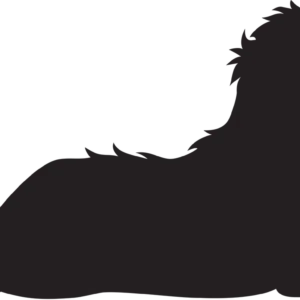 Vsepropejska Maltézský psík 3 dřevěná dekorace na zeď Rozměr (cm): 19 x 38