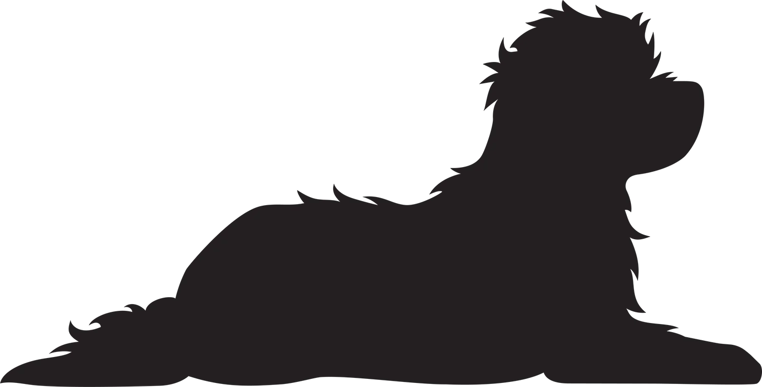 Vsepropejska Maltézský psík 3 dřevěná dekorace na zeď Rozměr (cm): 19 x 38