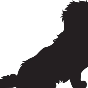 Vsepropejska Maltézský psík 3 dřevěná dekorace na zeď Rozměr (cm): 29 x 38