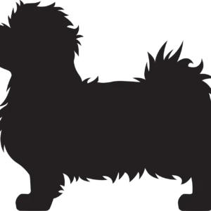 Vsepropejska Maltézský psík 3 dřevěná dekorace na zeď Rozměr (cm): 38 x 35