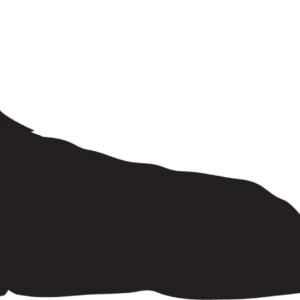 Vsepropejska Německý ovčák 4 dřevěná dekorace na zeď Rozměr (cm): 15 x 38