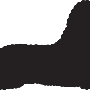 Vsepropejska Pudl 4 dřevěná dekorace na zeď Rozměr (cm): 16 x 38