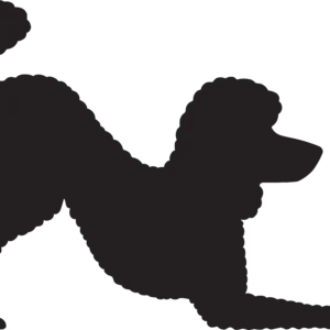 Vsepropejska Pudl 4 dřevěná dekorace na zeď Rozměr (cm): 28 x 38