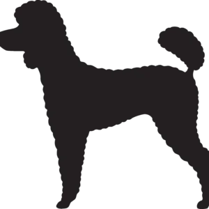 Vsepropejska Pudl 4 dřevěná dekorace na zeď Rozměr (cm): 36 x 38