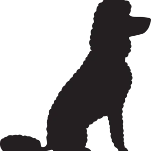 Vsepropejska Pudl 4 dřevěná dekorace na zeď Rozměr (cm): 38 x 37