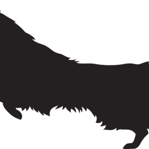 Vsepropejska Sheltie dřevěná dekorace na zeď Rozměr (cm): 24 x 38