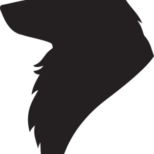 Vsepropejska Sheltie dřevěná dekorace na zeď Rozměr (cm): 38 x 25