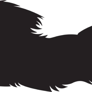 Vsepropejska Shih-tzu 2 dřevěná dekorace na zeď Rozměr (cm): 18 x 38