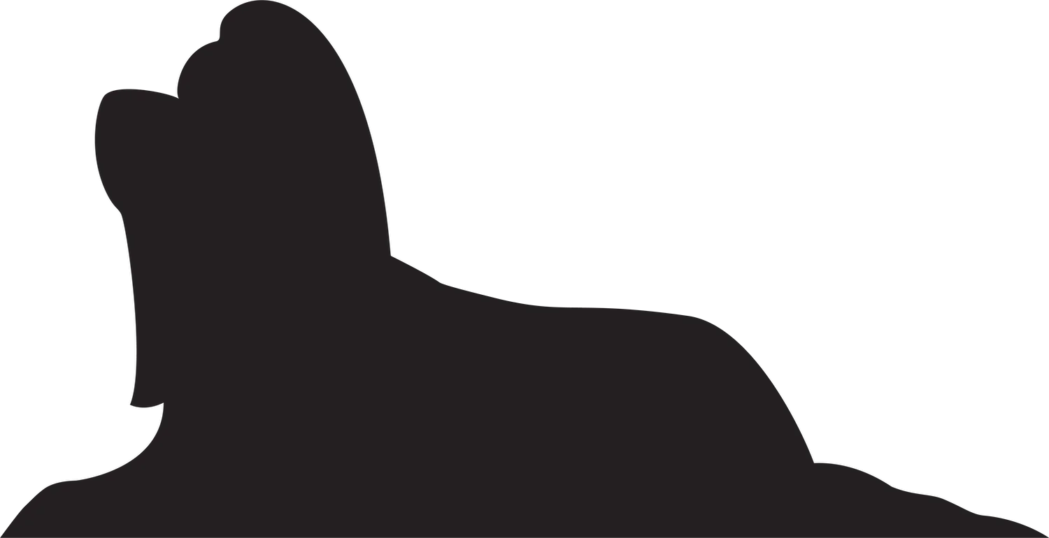 Vsepropejska Shih-tzu 2 dřevěná dekorace na zeď Rozměr (cm): 19 x 38