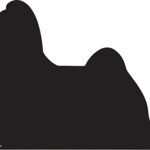 Vsepropejska Shih-tzu 2 dřevěná dekorace na zeď Rozměr (cm): 29 x 38