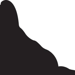 Vsepropejska Shih-tzu 2 dřevěná dekorace na zeď Rozměr (cm): 26 x 38